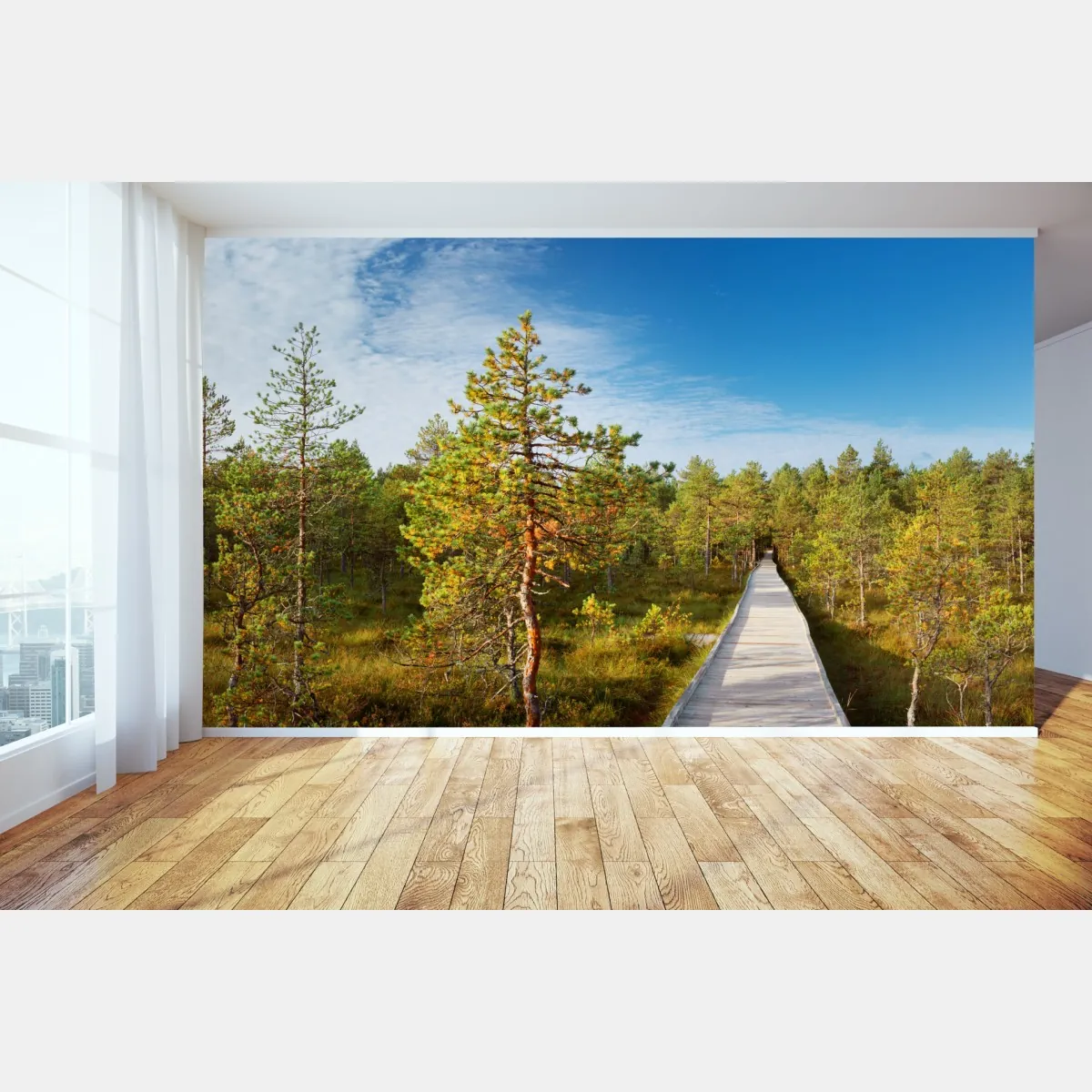 Fototapete sonniger steg durch den kiefernwald – Wallnifity®