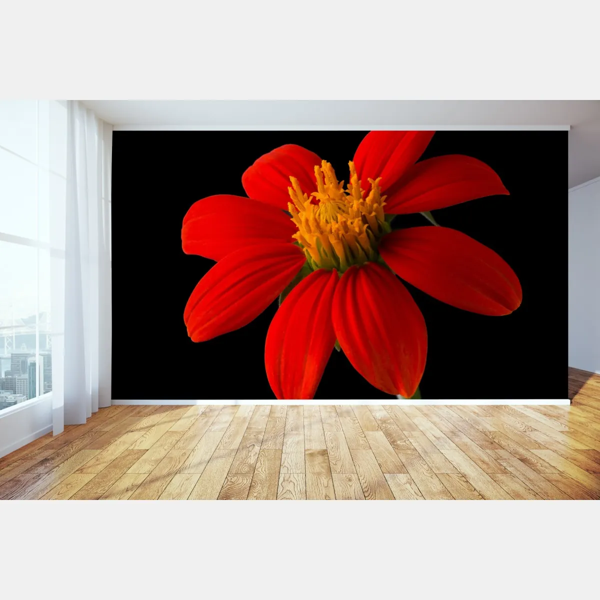 Fototapete leuchtende mexikanische sonnenblume auf schwarzem hintergrund – Wallnifity®