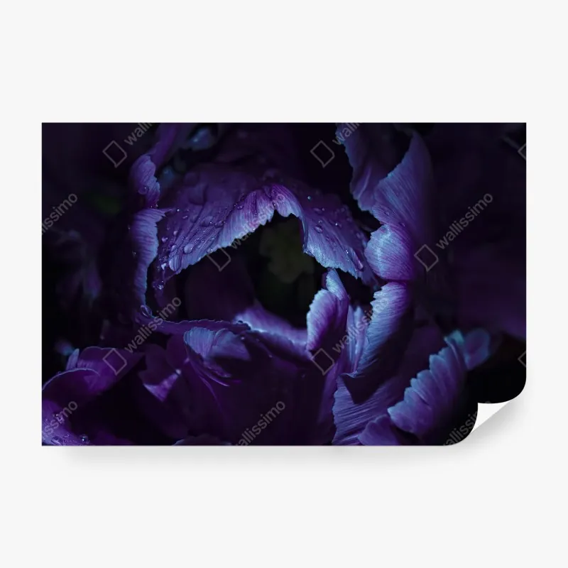 Fototapete tropischer palmenstrand – Wallnifity®