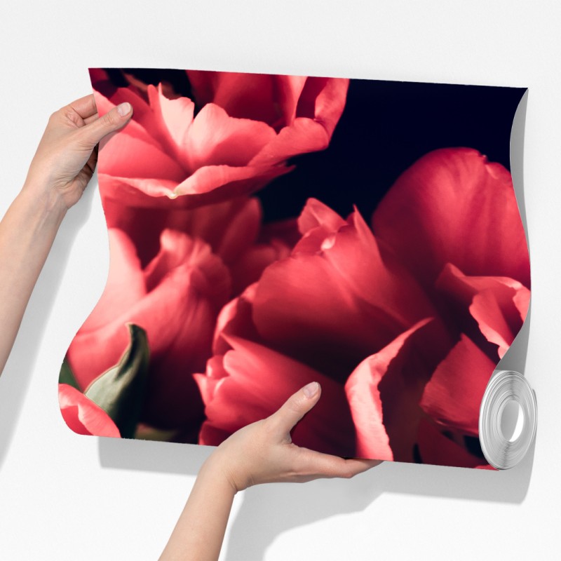 Fototapete stimmungsvolles rosa tulpenbukett – Wallnifity® Fototapete stimmungsvolles rosa tulpenbukett – Wallnifity®