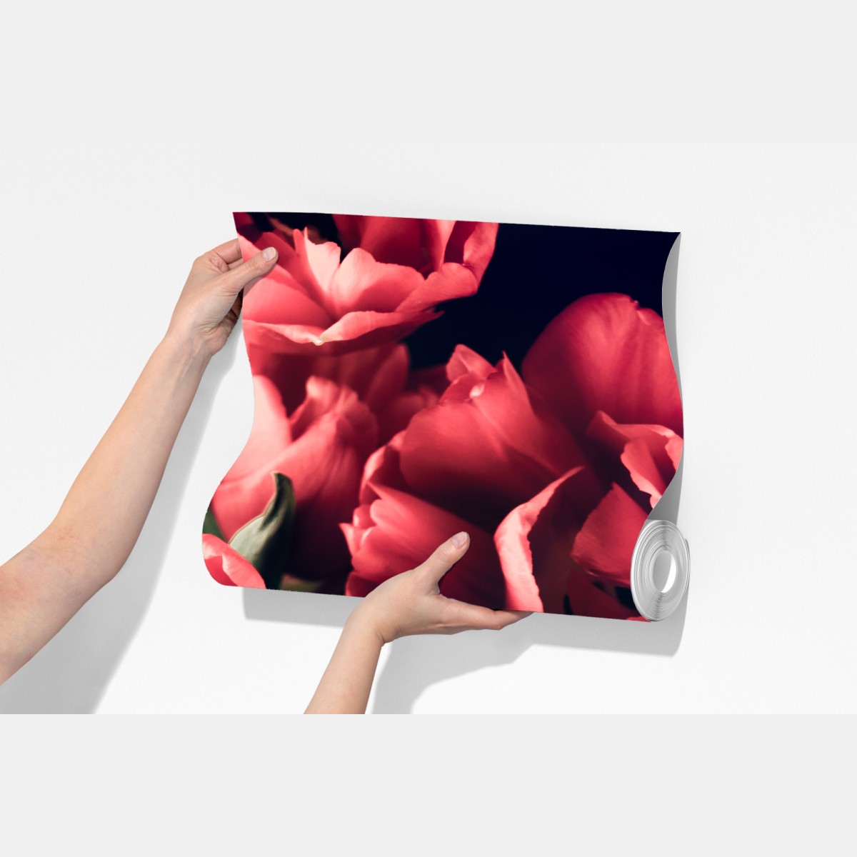 Fototapete stimmungsvolles rosa tulpenbukett – Wallnifity® Fototapete stimmungsvolles rosa tulpenbukett – Wallnifity®