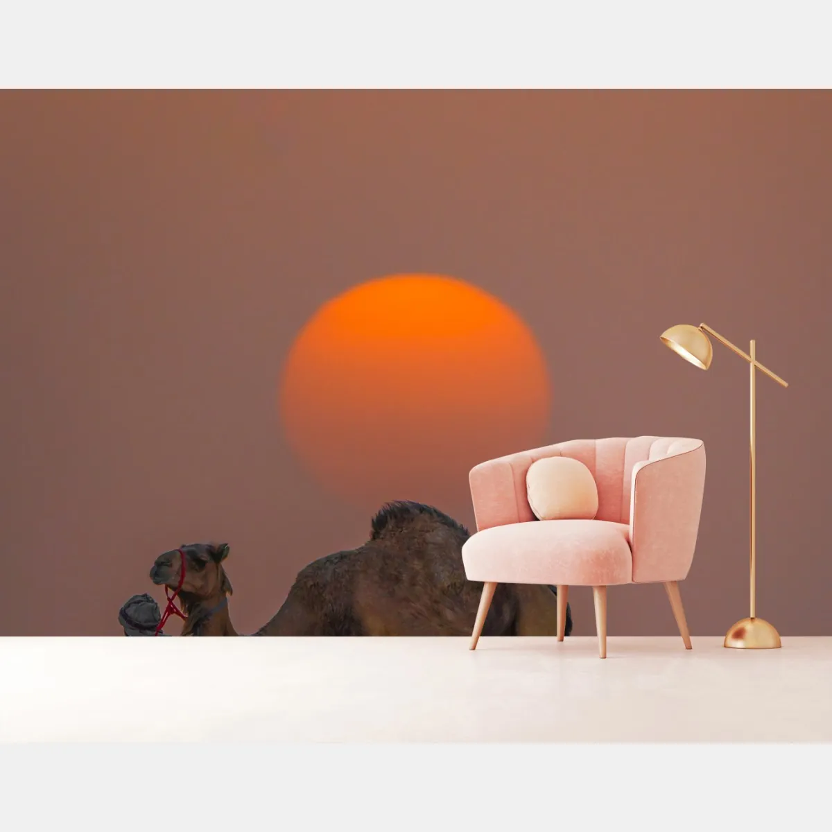 Fototapete kamel vor sonnenuntergang in der wüste – Wallnifity®