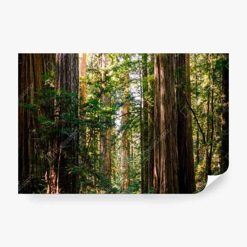 Fototapete marineblaues geometrisches würfelmuster – Wallnifity®