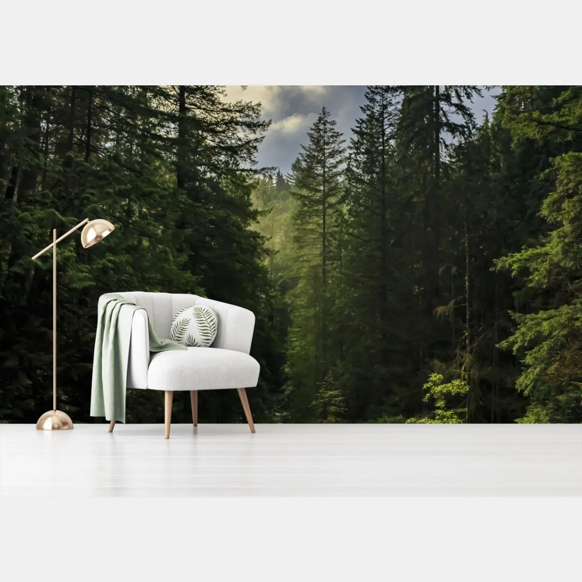 Fototapete nebliger immergrüner wald mit wasserfall – Wallnifity®