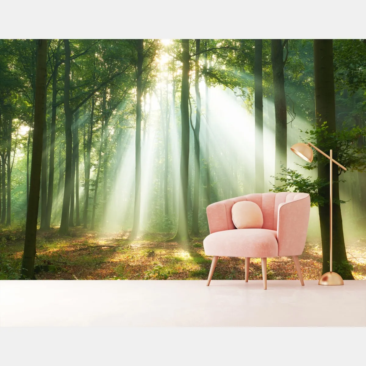 Fototapete morgendliches licht im wald – Wallnifity®