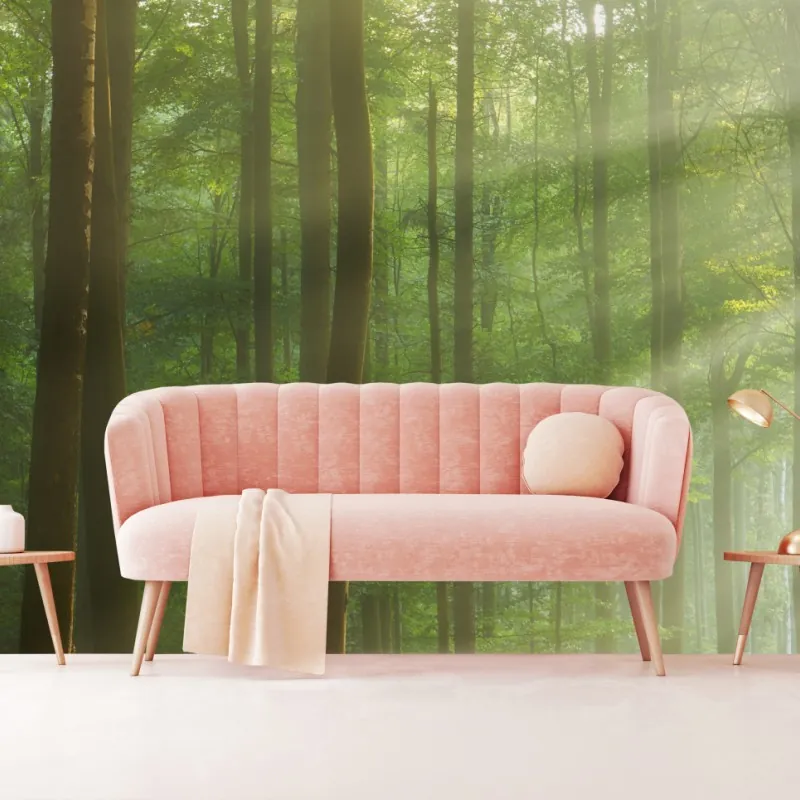 Wall mural sunlit morning in the forest