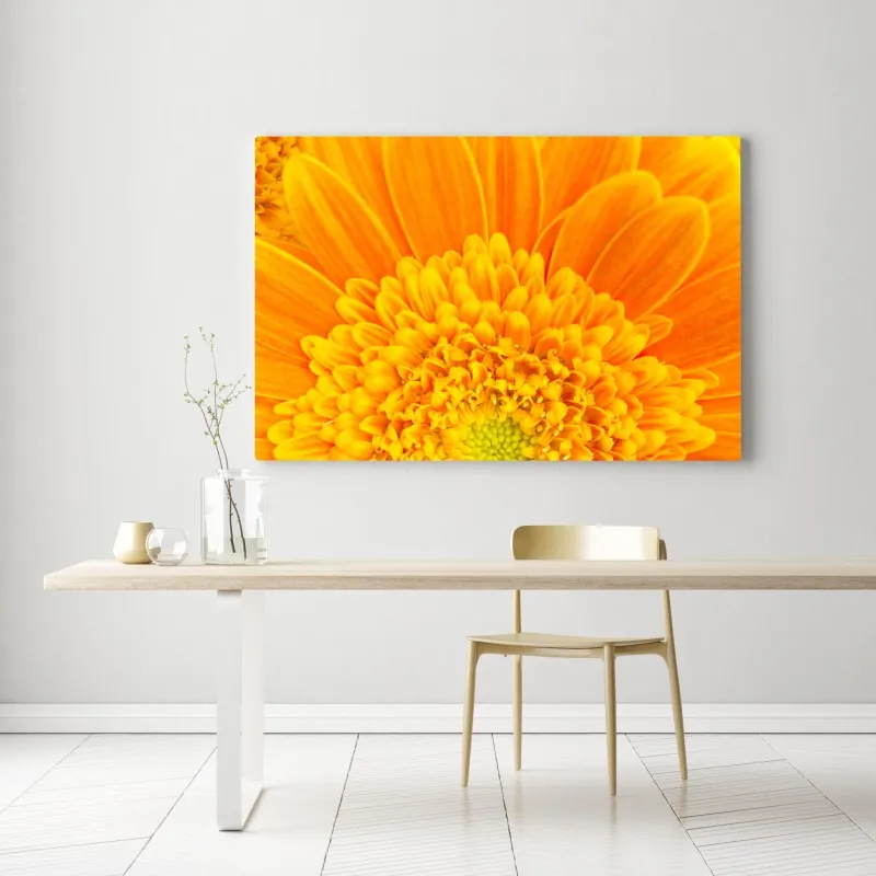 Leinwandbild intensive orange gerbera nahaufnahme – Wallnifity® Leinwandbild intensive orange gerbera nahaufnahme – Wallnifity®