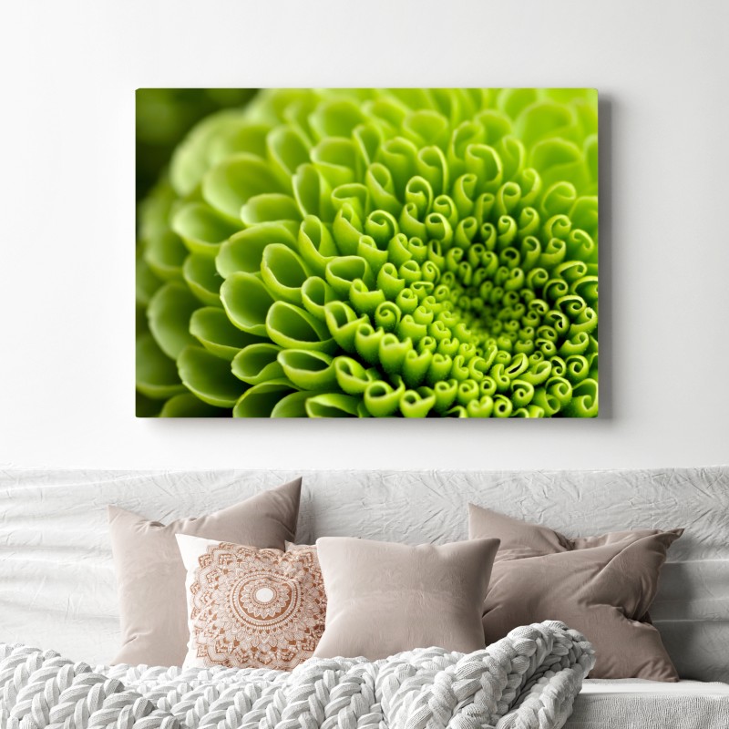 Leinwandbild leuchtende grüne blumenspirale im makro – Wallnifity® Leinwandbild leuchtende grüne blumenspirale im makro – Wallnifity®