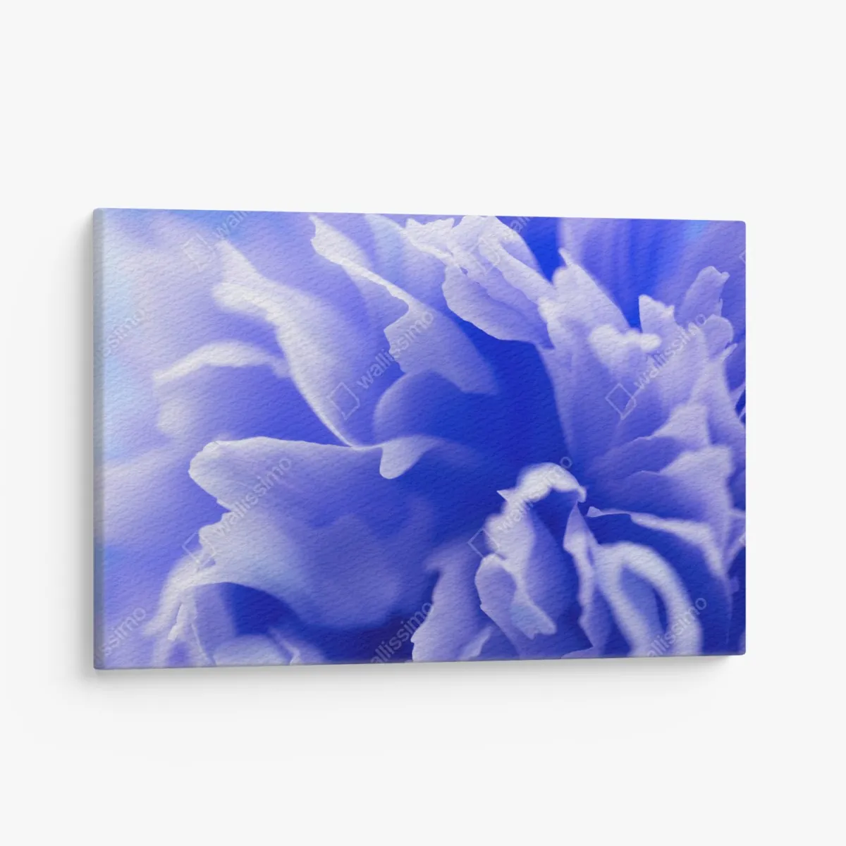 Leinwandbild sanfte blaue abstrakte blume nahaufnahme – Wallnifity® Leinwandbild sanfte blaue abstrakte blume nahaufnahme – Wallnifity®