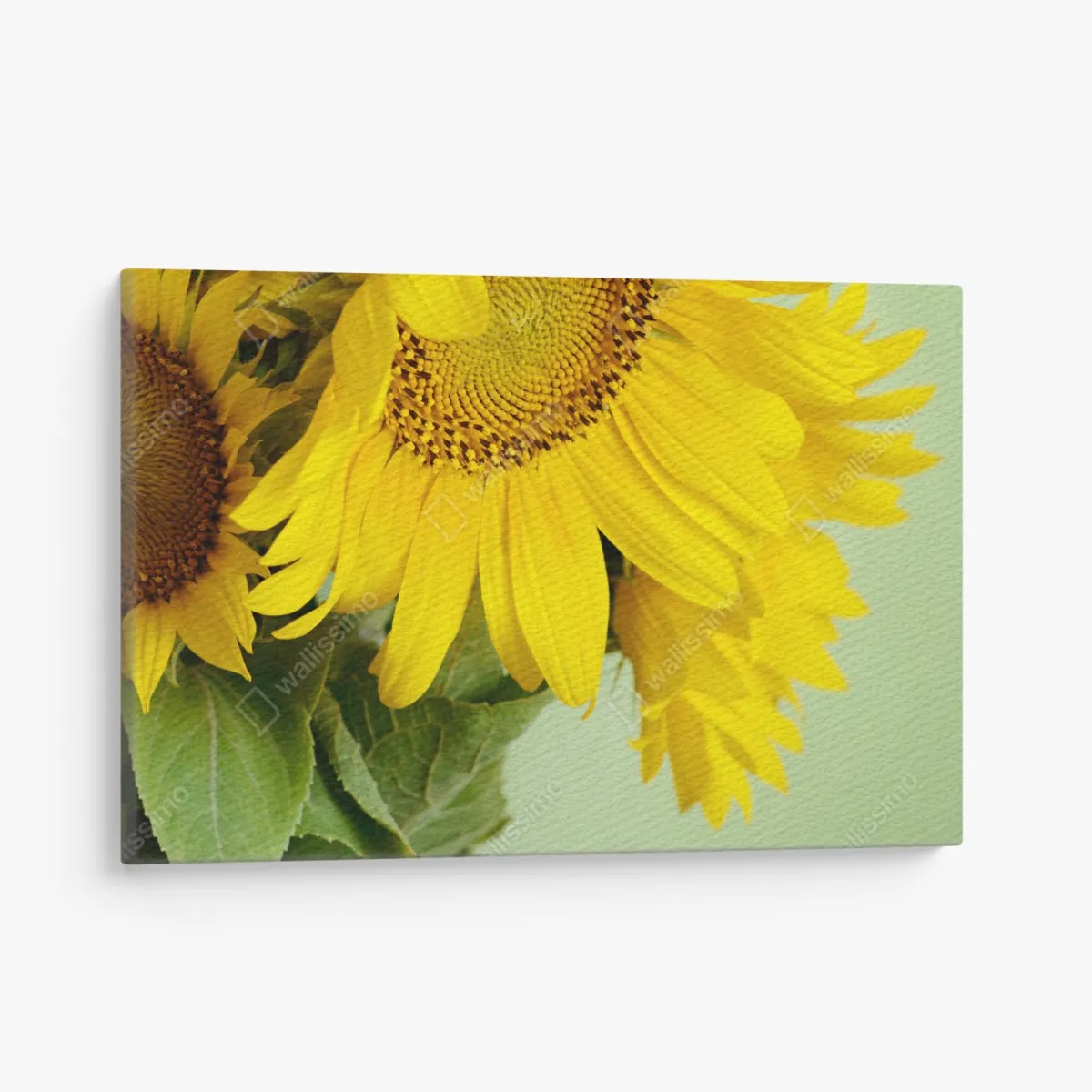Leinwandbild heller sonnenblumenstrauß auf grünem hintergrund – Wallnifity® Leinwandbild heller sonnenblumenstrauß auf grünem hintergrund – Wallnifity®