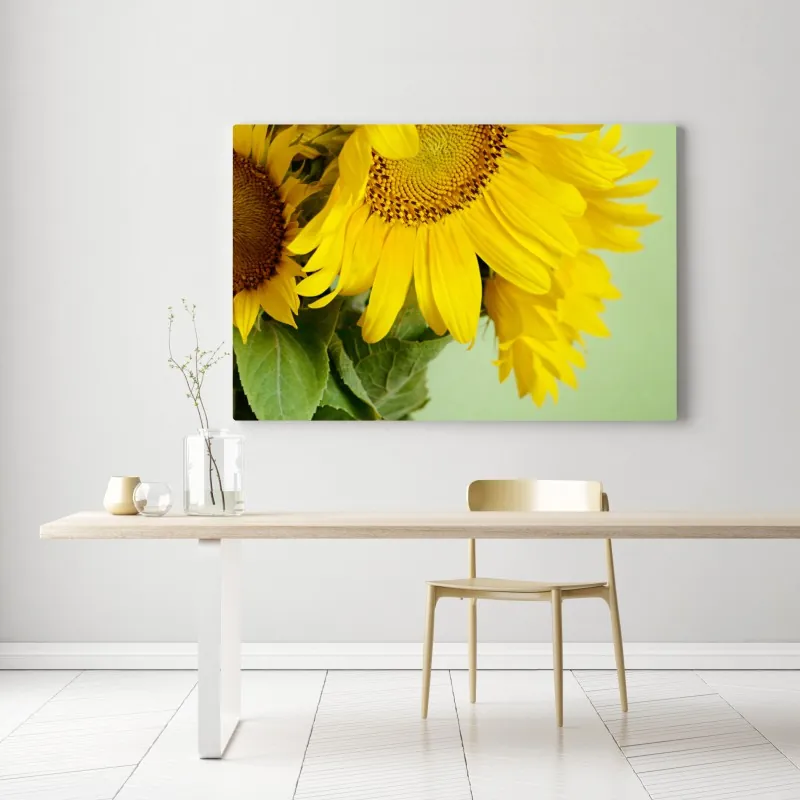 Leinwandbild heller sonnenblumenstrauß auf grünem hintergrund – Wallnifity® Leinwandbild heller sonnenblumenstrauß auf grünem hintergrund – Wallnifity®