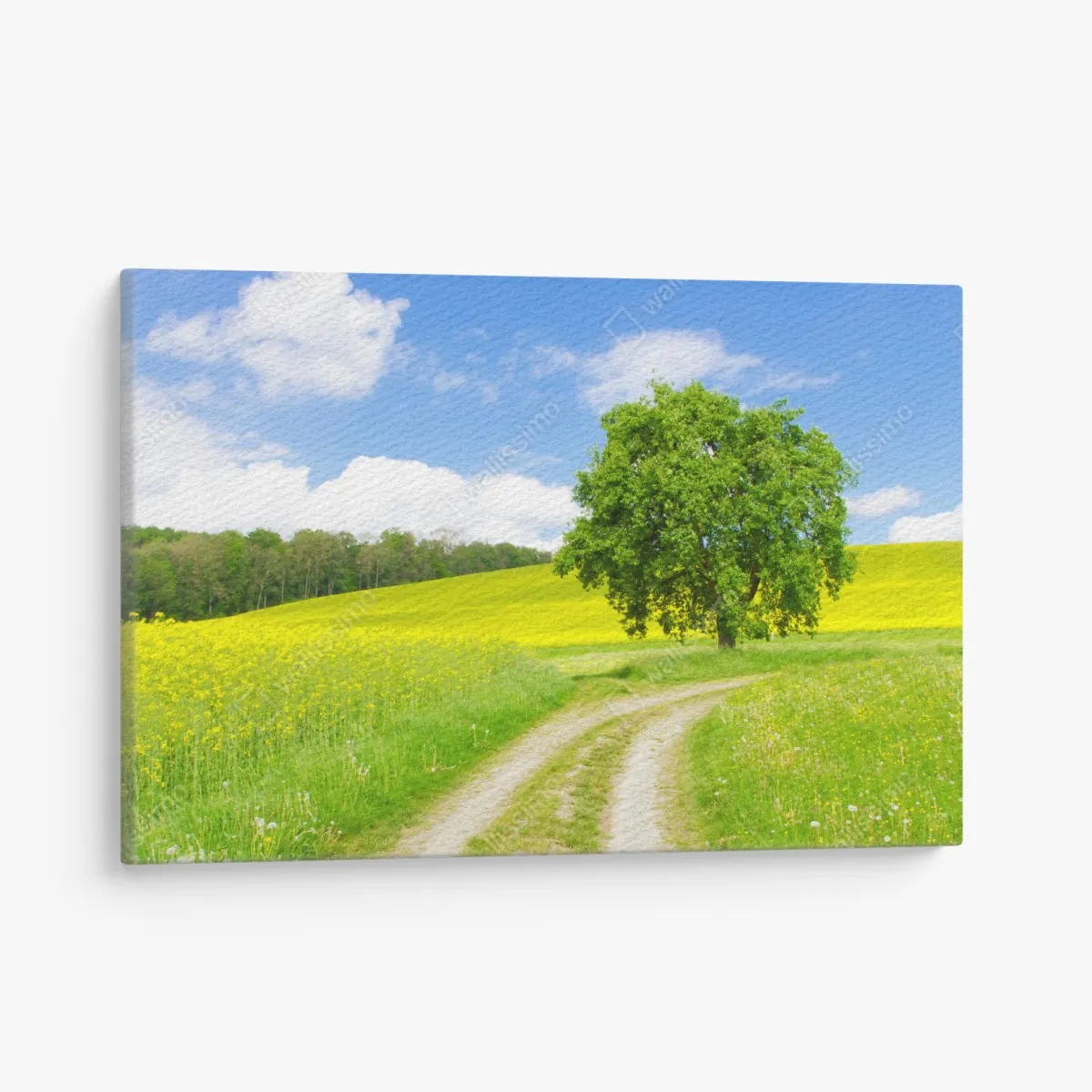 Leinwandbild sonniger feldweg mit einsamem baum – Wallnifity® Leinwandbild sonniger feldweg mit einsamem baum – Wallnifity®