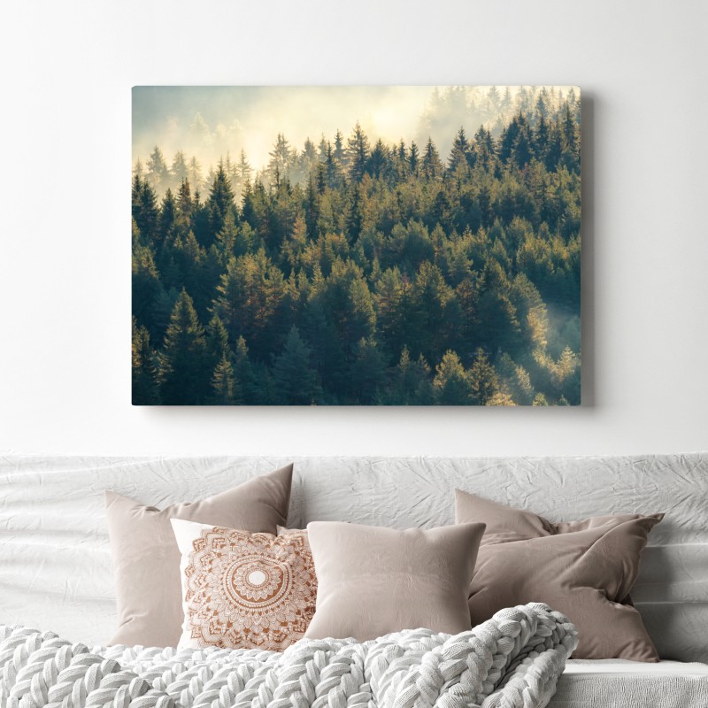 Leinwandbild nebliger kiefernwald im morgenlicht – Wallnifity® Leinwandbild nebliger kiefernwald im morgenlicht – Wallnifity®