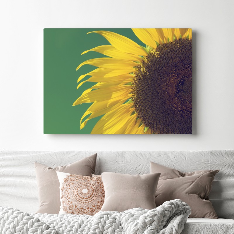Leinwandbild strahlende sonnenblume vor vintage-himmel – Wallnifity® Leinwandbild strahlende sonnenblume vor vintage-himmel – Wallnifity®