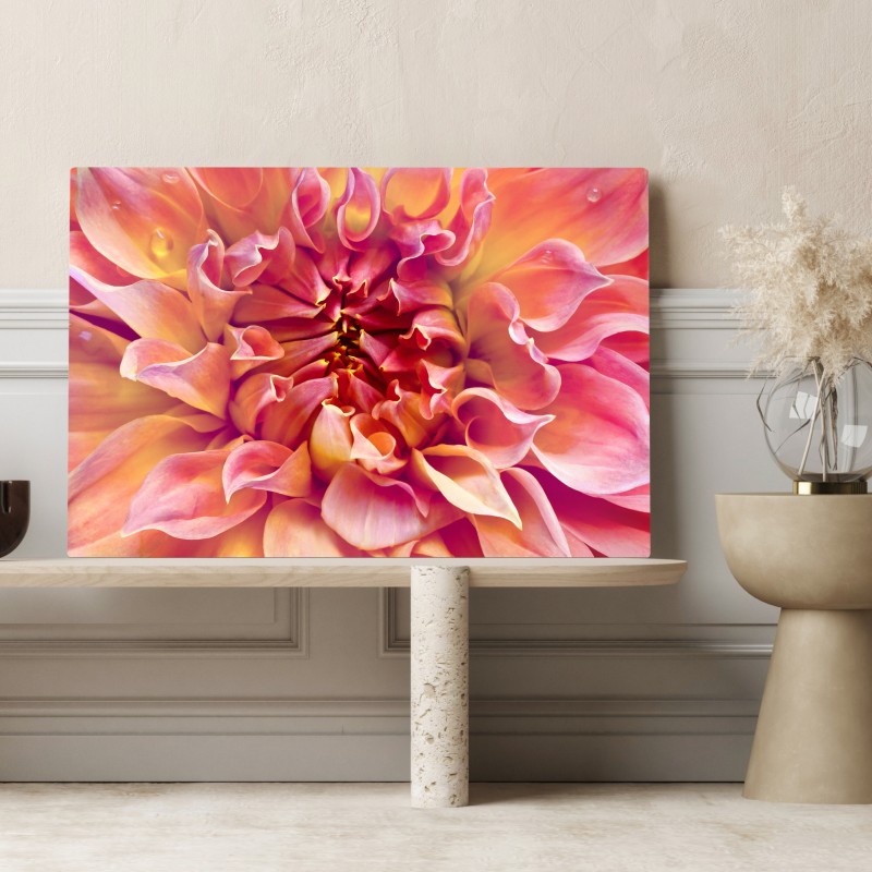 Leinwandbild rosa dahlie nahaufnahme – Wallnifity® Leinwandbild rosa dahlie nahaufnahme – Wallnifity®