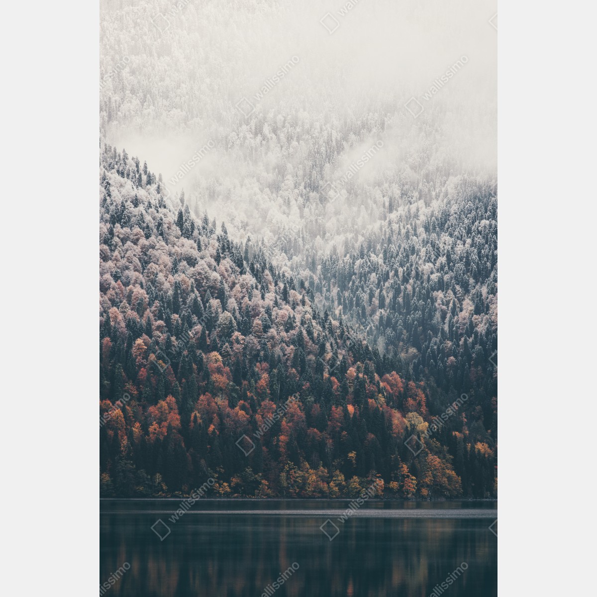 Leinwandbild herbstlicher nebel über bergwald – Wallnifity® Leinwandbild herbstlicher nebel über bergwald – Wallnifity®