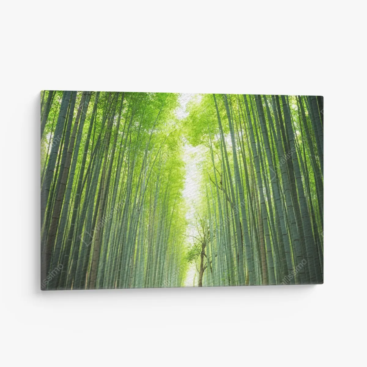 Leinwandbild weg durch den bambushain von Arashiyama – Wallnifity®