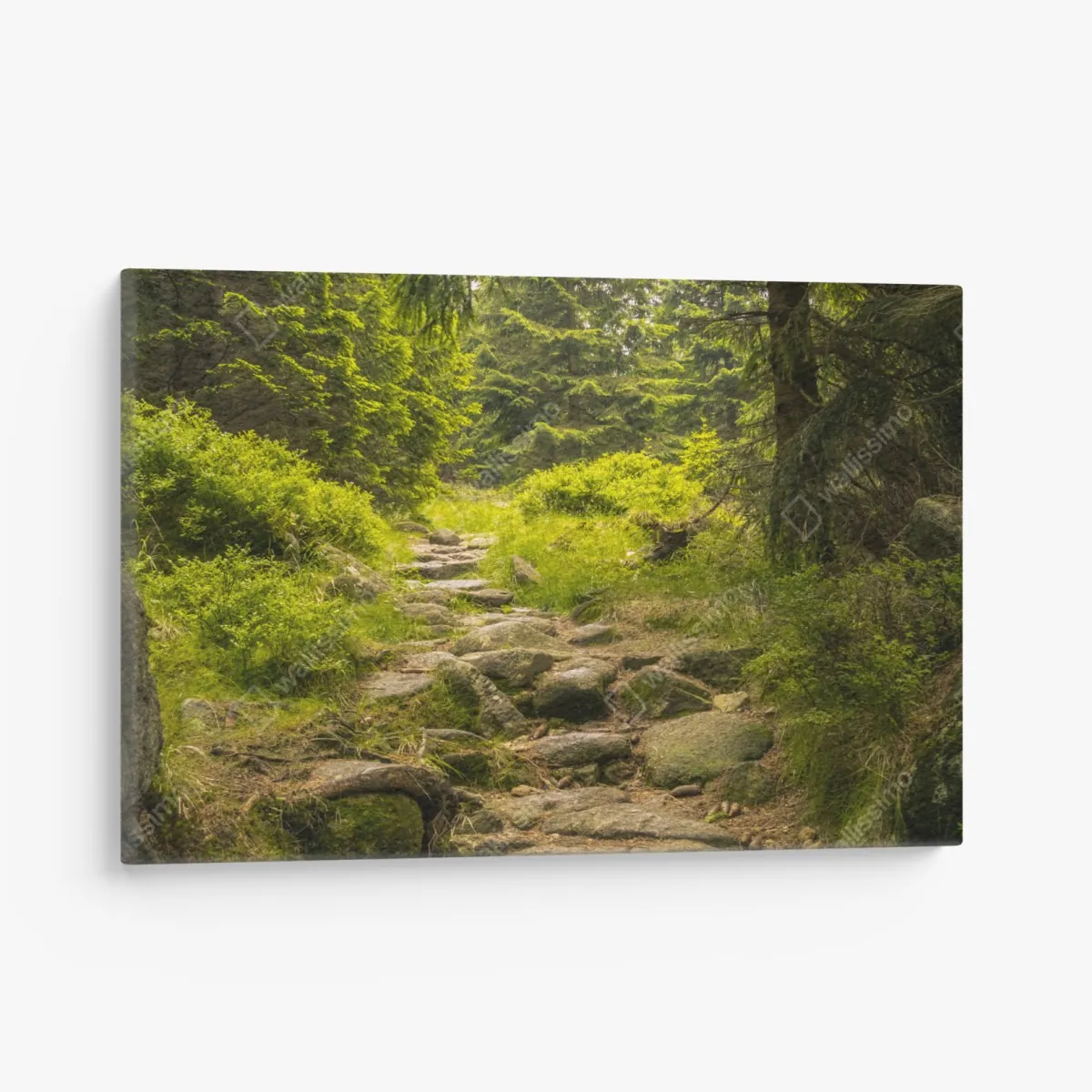 Leinwandbild ruhiger waldweg durch nadelwald – Wallnifity® Leinwandbild ruhiger waldweg durch nadelwald – Wallnifity®