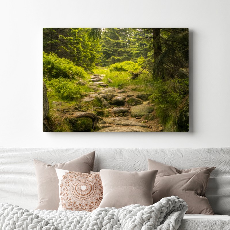 Leinwandbild ruhiger waldweg durch nadelwald – Wallnifity® Leinwandbild ruhiger waldweg durch nadelwald – Wallnifity®