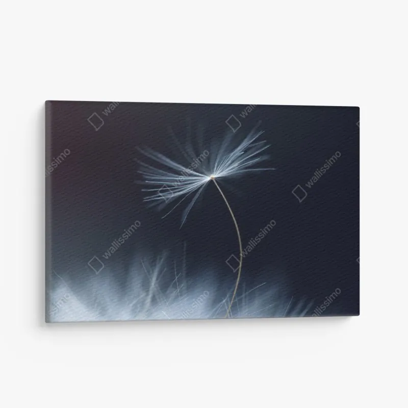 Leinwandbild sonnige terrasse am meer mit küstenblick – Wallnifity®