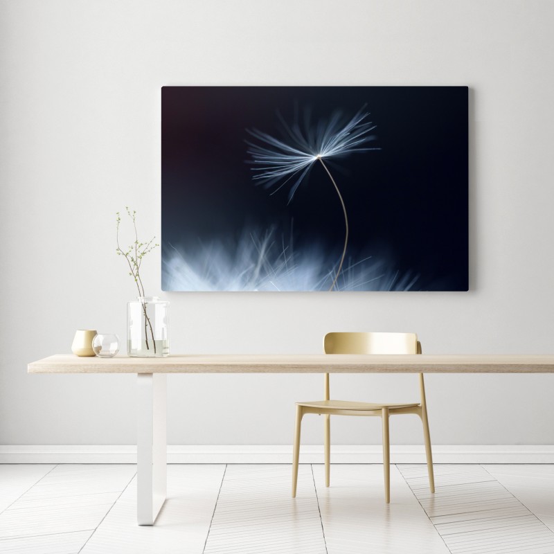 Leinwandbild zarte makroaufnahme eines löwenzahnsamens – Wallnifity®