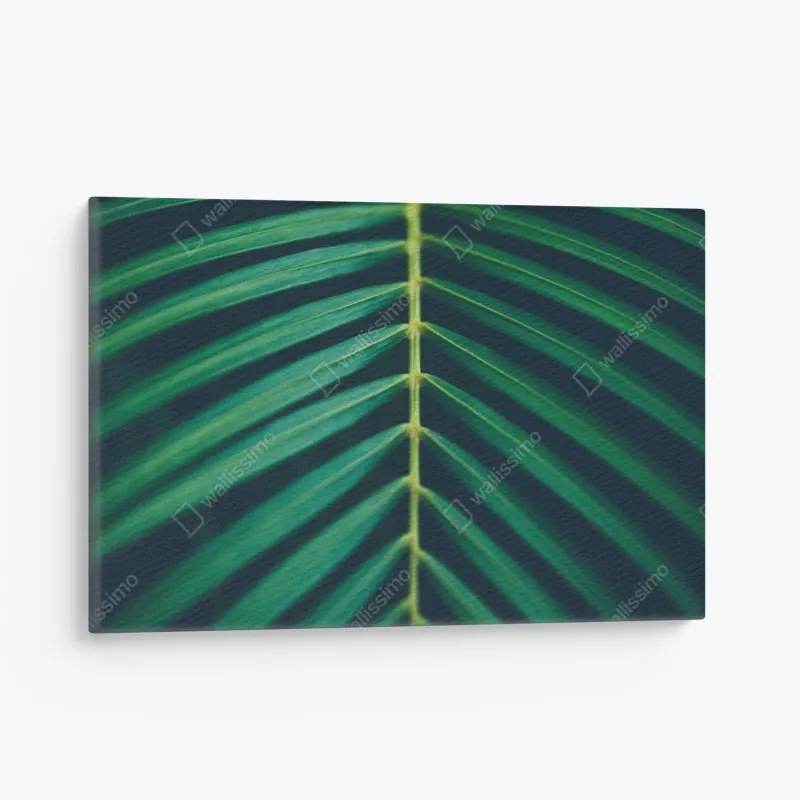 Leinwandbild Tampa skyline bei nacht – Wallnifity®