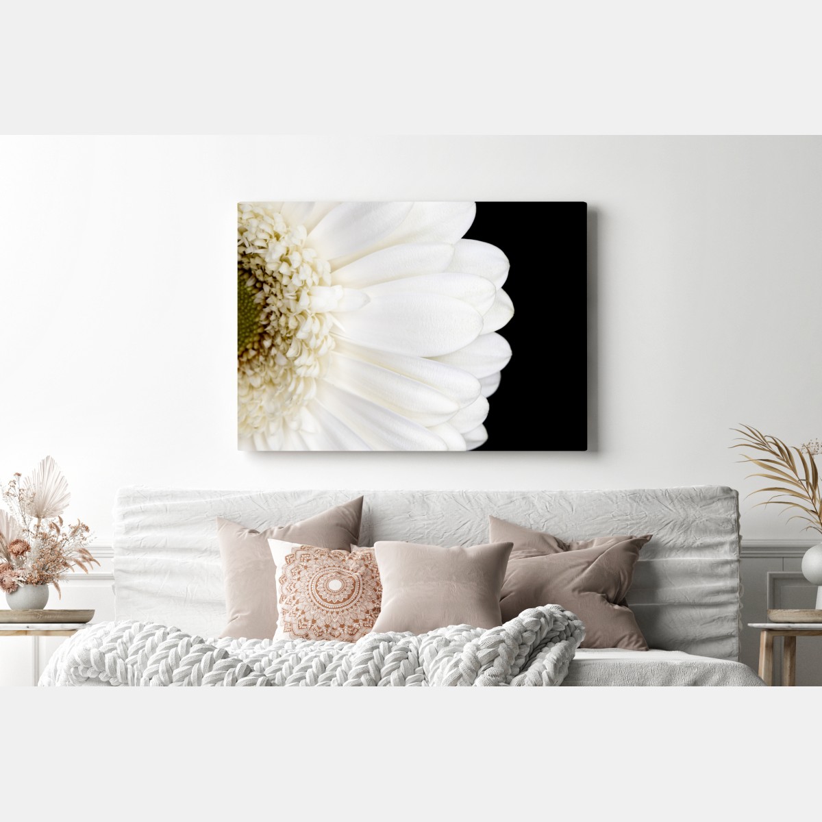Leinwandbild weiße gerbera auf schwarzem hintergrund minimalistische nahaufnahme – Wallnifity® Leinwandbild weiße gerbera auf schwarzem hintergrund minimalistische nahaufnahme – Wallnifity®