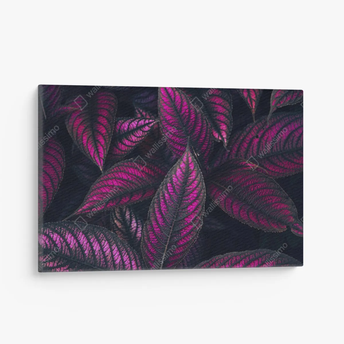 Leinwandbild leuchtendes violettes blättermotiv – Wallnifity® Leinwandbild leuchtendes violettes blättermotiv – Wallnifity®