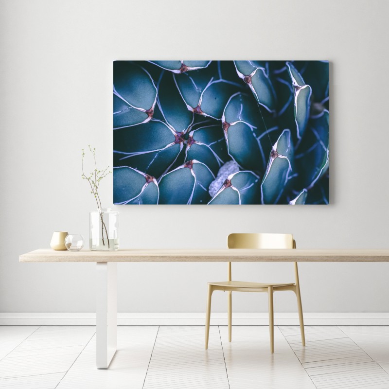 Leinwandbild geometrische makroaufnahme türkiser sukkulente – Wallnifity® Leinwandbild geometrische makroaufnahme türkiser sukkulente – Wallnifity®