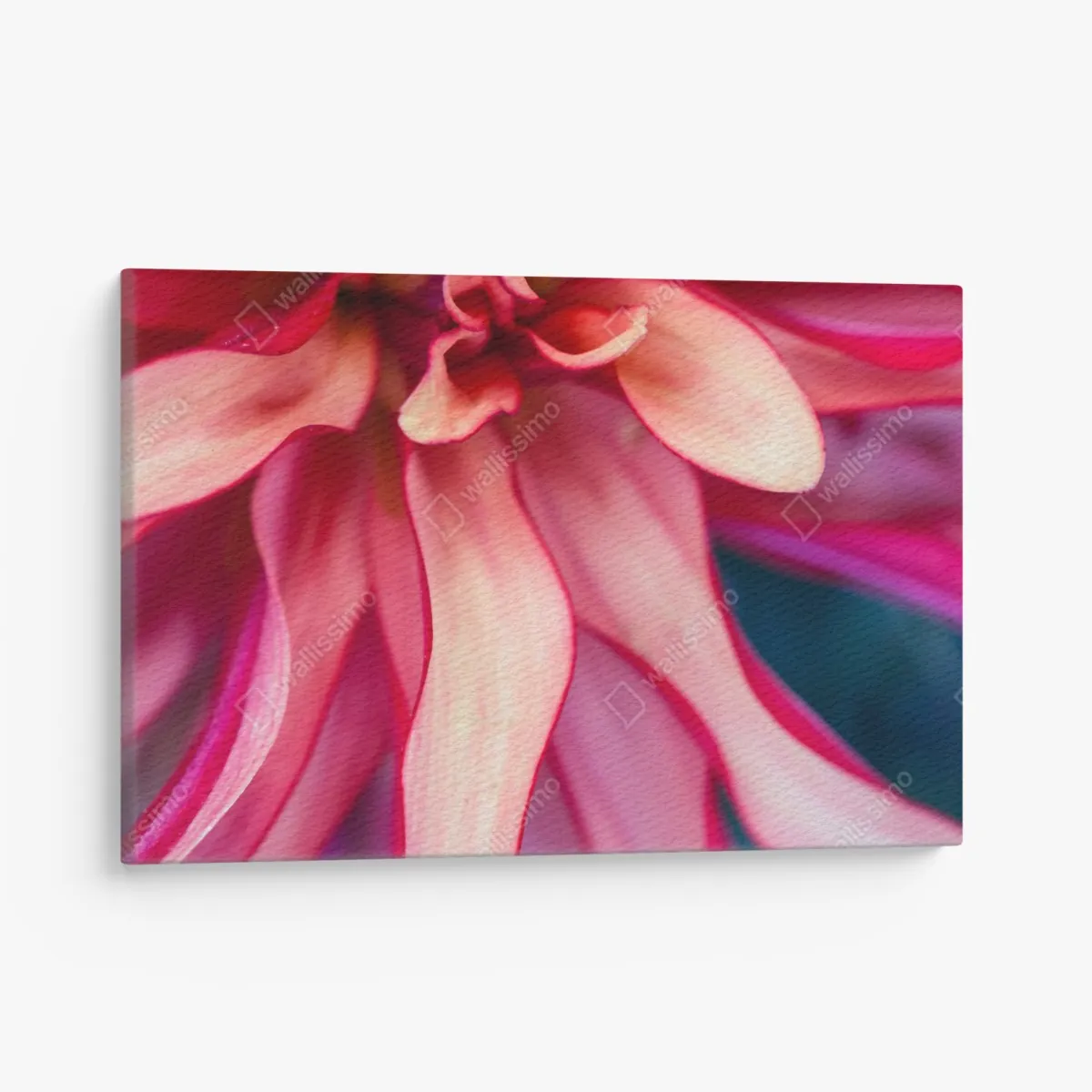 Leinwandbild vibrantes rosa blütenmakro – Wallnifity® Leinwandbild vibrantes rosa blütenmakro – Wallnifity®