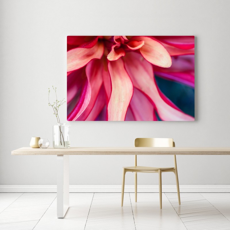 Leinwandbild vibrantes rosa blütenmakro – Wallnifity® Leinwandbild vibrantes rosa blütenmakro – Wallnifity®