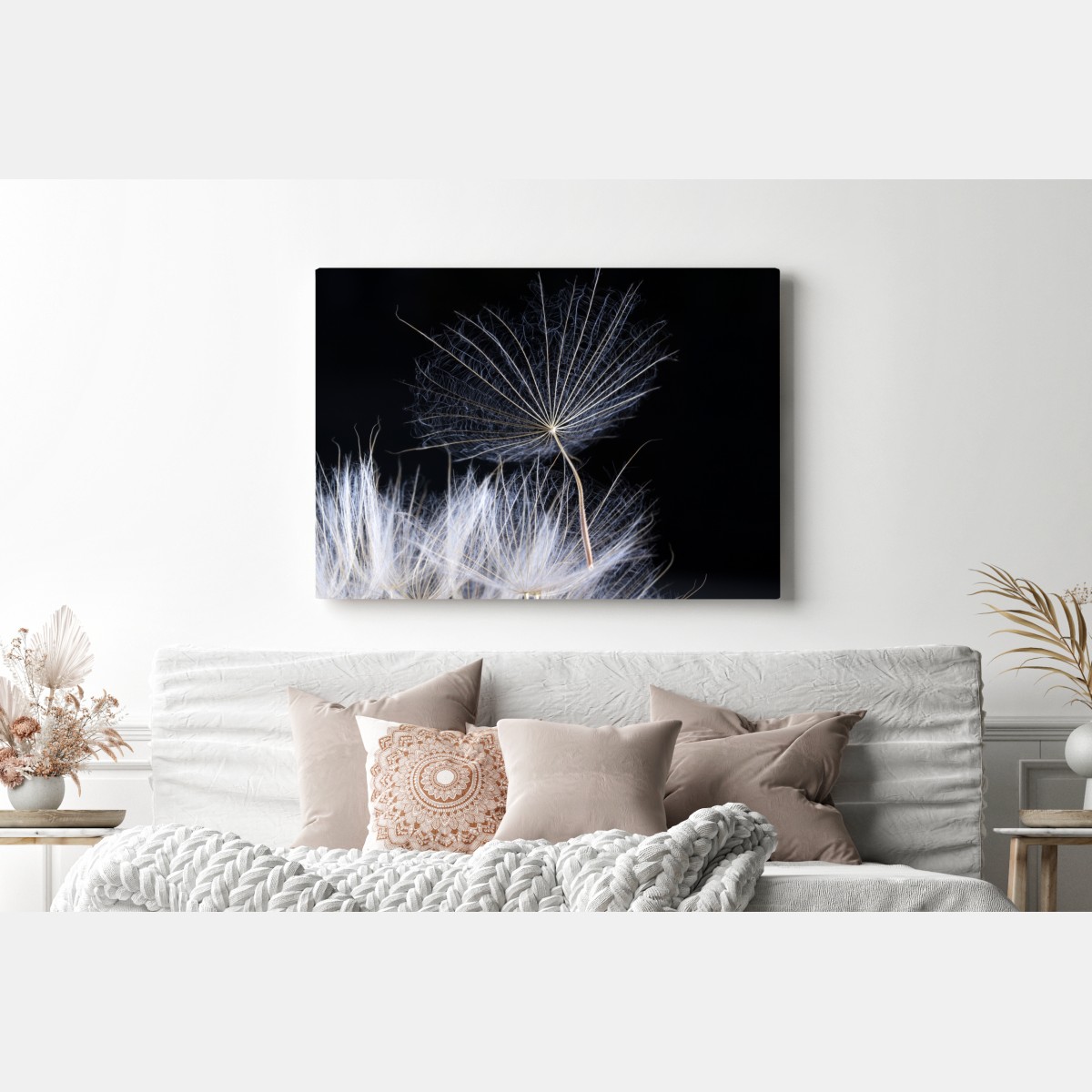 Leinwandbild zarter löwenzahnsamen auf schwarzem hintergrund – Wallnifity® Leinwandbild zarter löwenzahnsamen auf schwarzem hintergrund – Wallnifity®