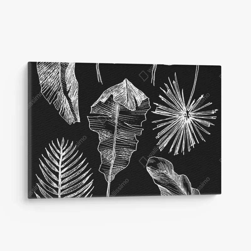 Leinwandbild moosiger alter waldpfad – Wallnifity®