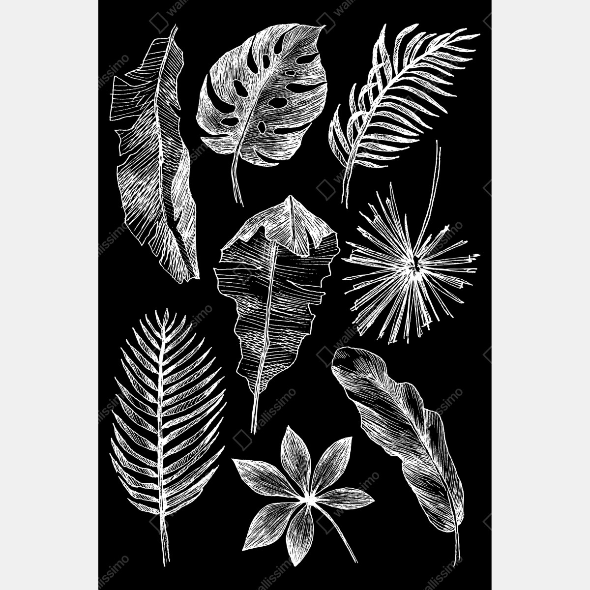 Leinwandbild monochrome blattkomposition – Wallnifity® Leinwandbild monochrome blattkomposition – Wallnifity®