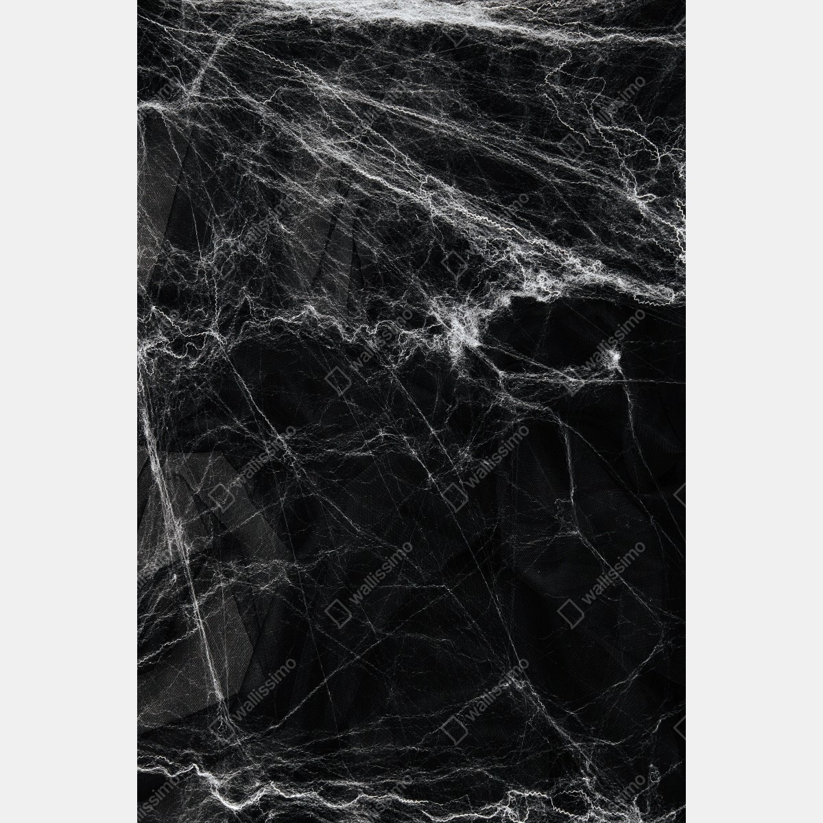 Leinwandbild gespenstisches spinnennetz auf schwarzem hintergrund – Wallnifity® Leinwandbild gespenstisches spinnennetz auf schwarzem hintergrund – Wallnifity®