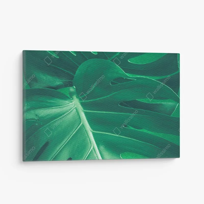 Leinwandbild ruhiger grüner steg am see – Wallnifity®