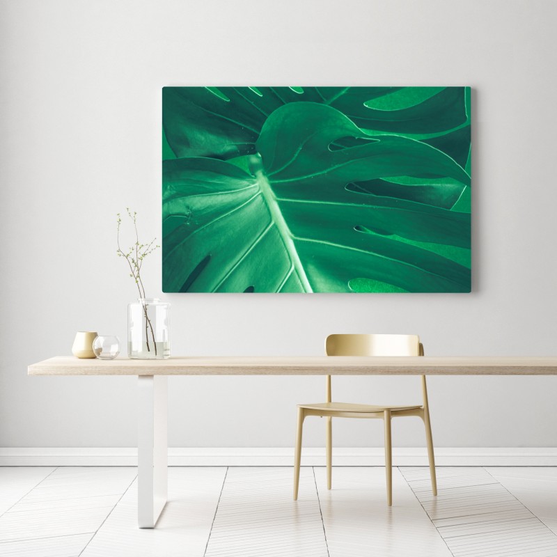 Leinwandbild prächtiges monstera-blatt nahaufnahme – Wallnifity® Leinwandbild prächtiges monstera-blatt nahaufnahme – Wallnifity®