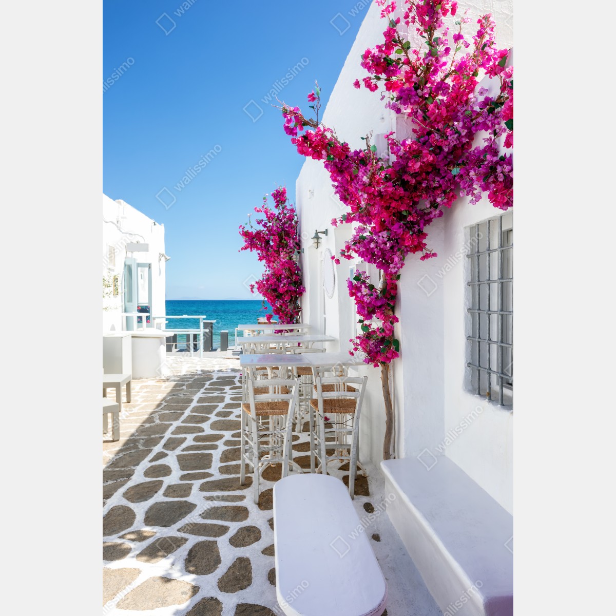Leinwandbild sonnige mediterrane gasse mit bougainvillea – Wallnifity® Leinwandbild sonnige mediterrane gasse mit bougainvillea – Wallnifity®