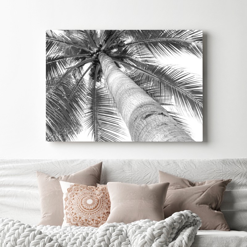 Leinwandbild monochrome palme aus der froschperspektive – Wallnifity® Leinwandbild monochrome palme aus der froschperspektive – Wallnifity®