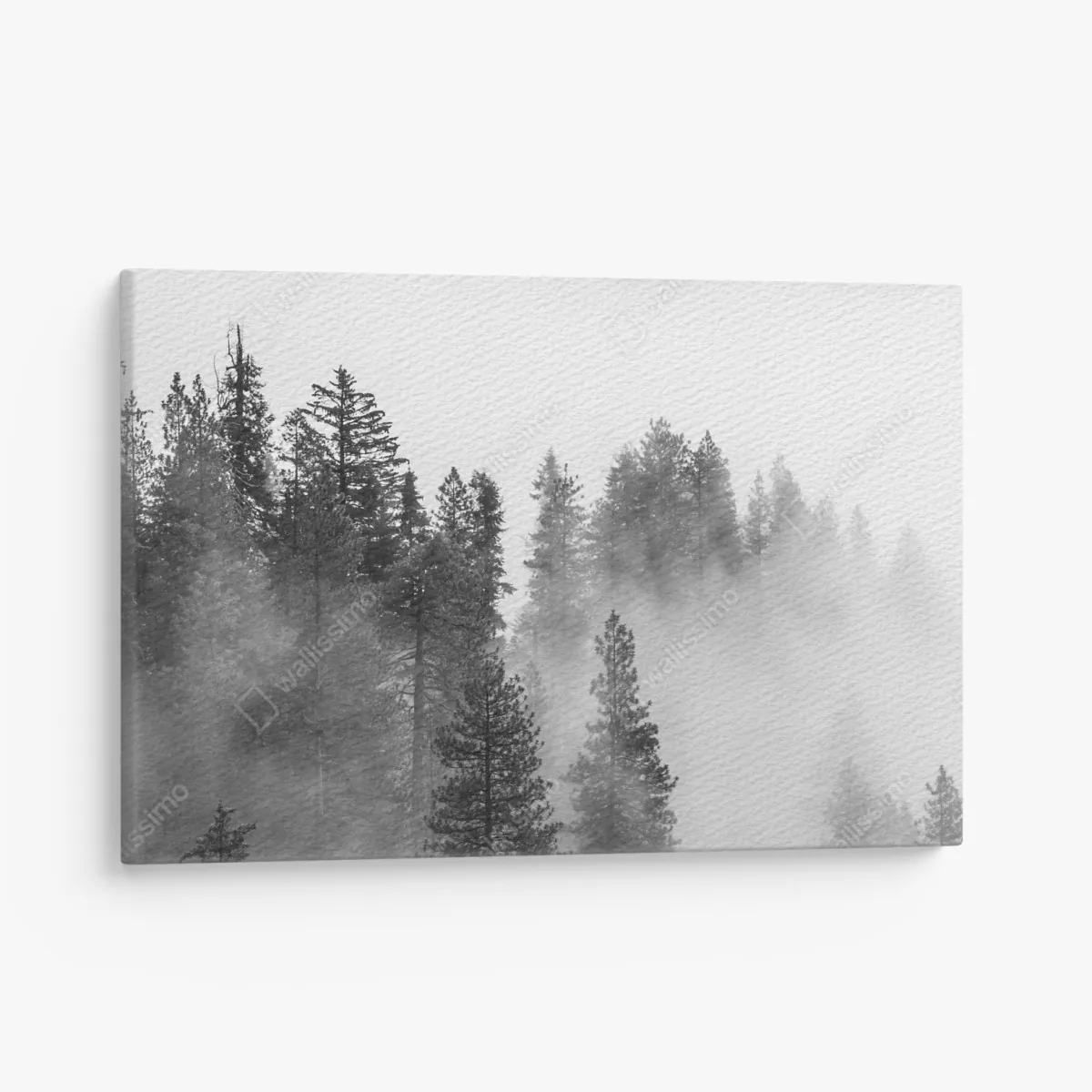 Leinwandbild nebliger Giant Forest, Sequoia National Park – Wallnifity®