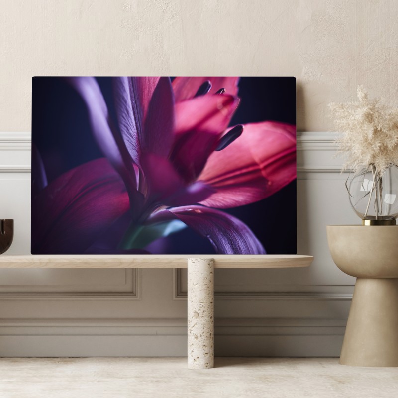 Leinwandbild rote lilie im halbdunkel – Wallnifity® Leinwandbild rote lilie im halbdunkel – Wallnifity®