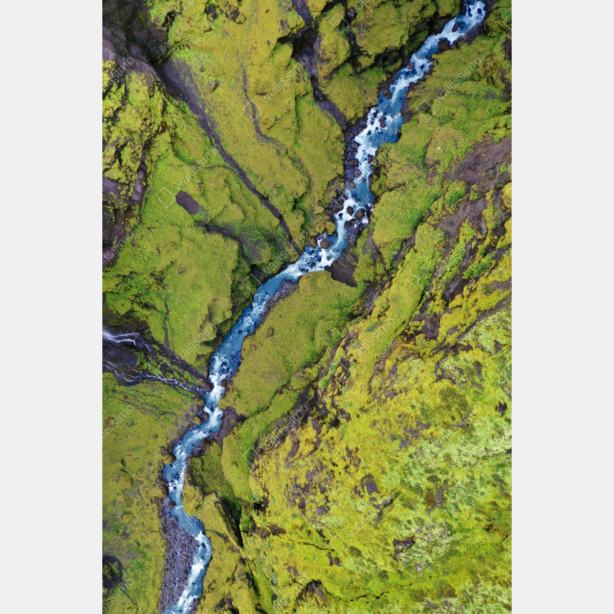 Leinwandbild luftaufnahme: fluss in moosbedeckter schlucht – Wallnifity®