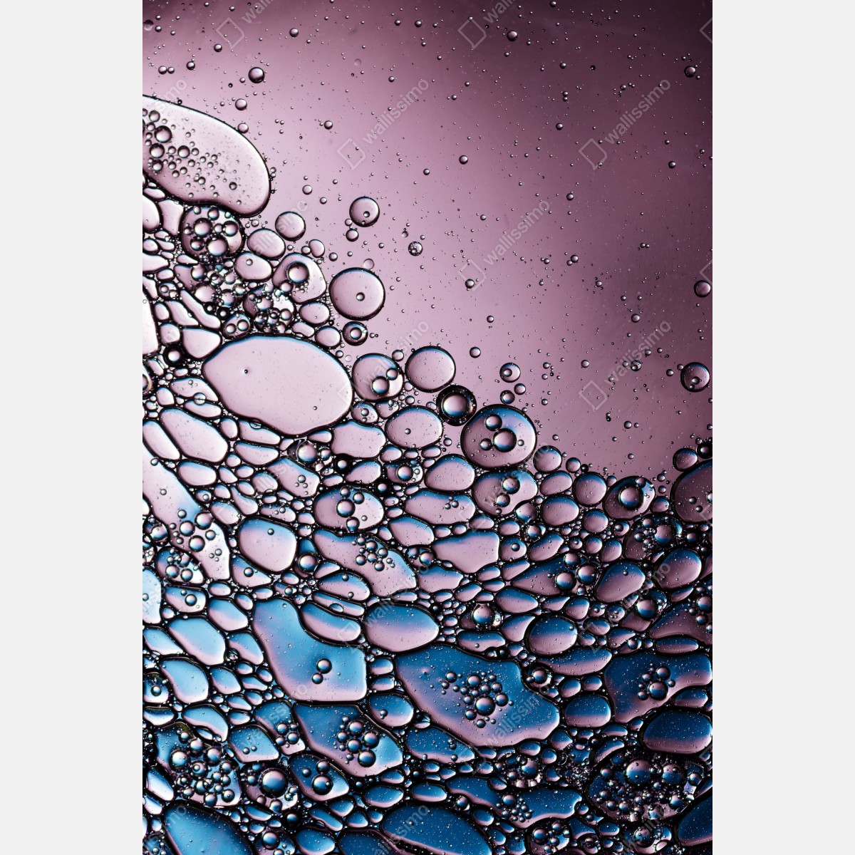 Leinwandbild lila abstraktes blasenmuster – Wallnifity® Leinwandbild lila abstraktes blasenmuster – Wallnifity®