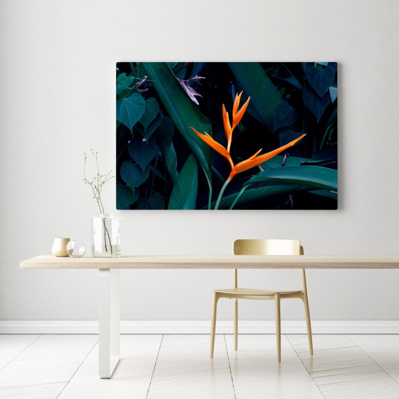 Leinwandbild leuchtende strelitzie vor tiefgrünen blättern – Wallnifity® Leinwandbild leuchtende strelitzie vor tiefgrünen blättern – Wallnifity®
