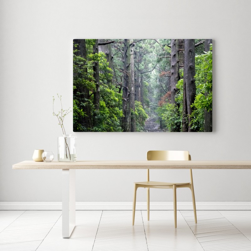 Leinwandbild mystischer waldweg zwischen alten bäumen – Wallnifity® Leinwandbild mystischer waldweg zwischen alten bäumen – Wallnifity®