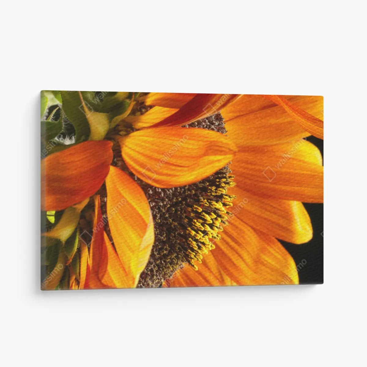 Leinwandbild leuchtende orange sonnenblume nahaufnahme – Wallnifity® Leinwandbild leuchtende orange sonnenblume nahaufnahme – Wallnifity®