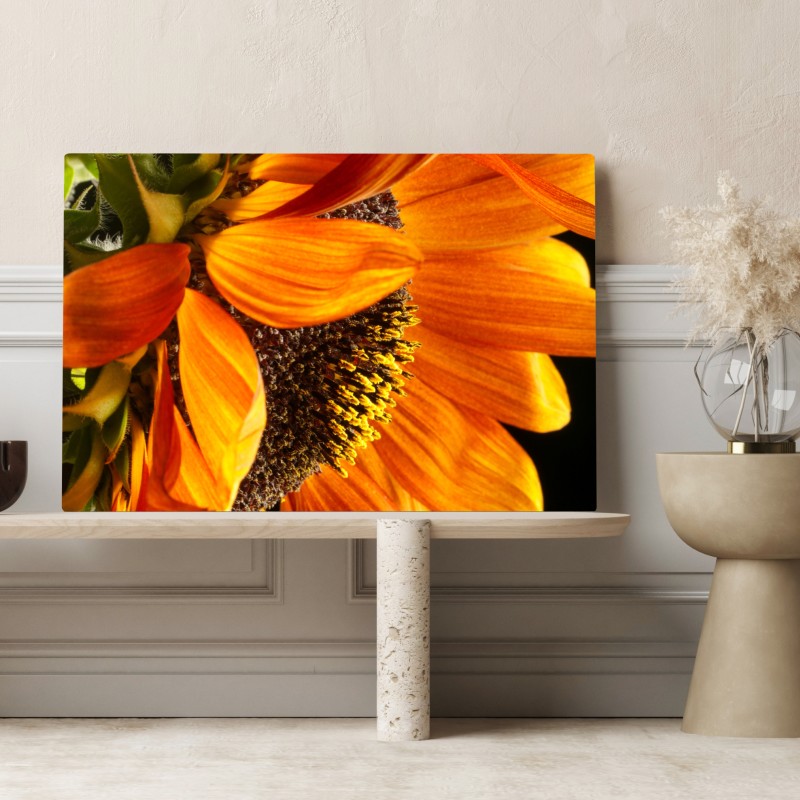Leinwandbild leuchtende orange sonnenblume nahaufnahme – Wallnifity® Leinwandbild leuchtende orange sonnenblume nahaufnahme – Wallnifity®