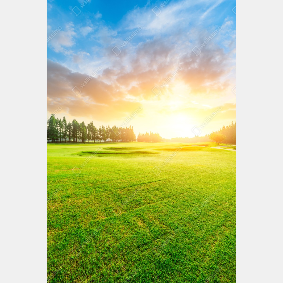 Leinwandbild sonnenbeschienene wiese und wald bei sonnenaufgang – Wallnifity® Leinwandbild sonnenbeschienene wiese und wald bei sonnenaufgang – Wallnifity®