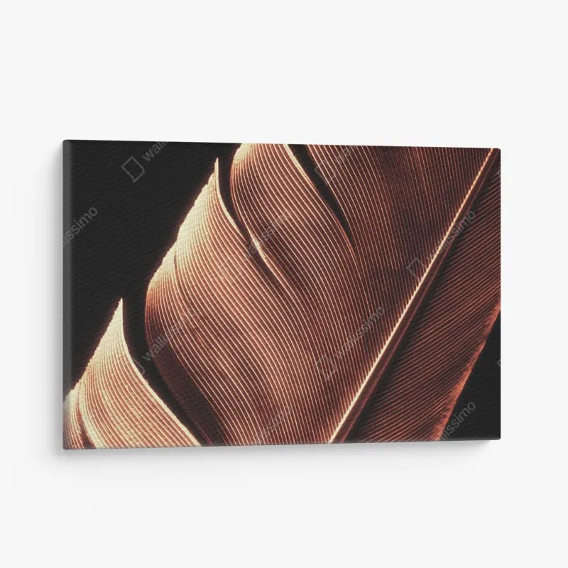 Leinwandbild tropischer regenwald mit sonnenstrahlen – Wallnifity®