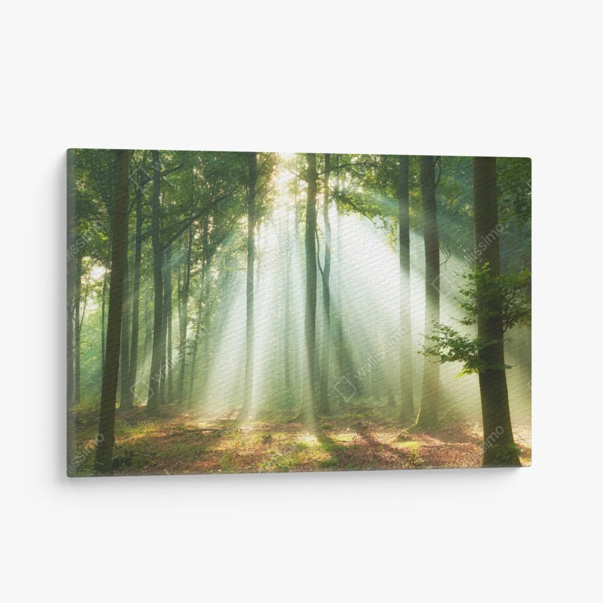 Leinwandbild morgendliches licht im wald – Wallnifity® Leinwandbild morgendliches licht im wald – Wallnifity®